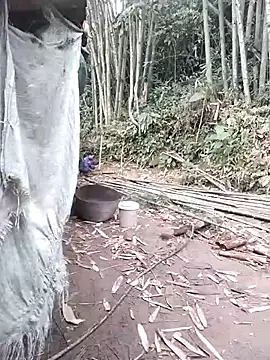 Dung x online show from 04-06-26, 12:52