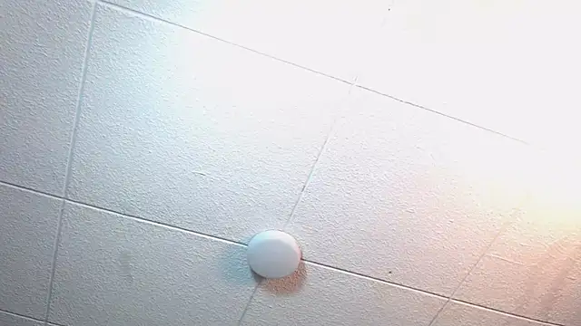 RichardMilleer online show from 11-12-25, 02:17