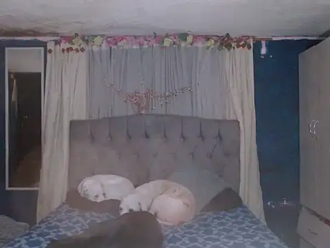 Snapshot of skarleth_hot21 chatting on 10-25-25, 04:31 skarleth hot21 online show from 10-25-25, 04:31