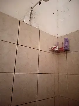 Snapshot of Milenvs chatting on 09-24-25, 01:31 Milenvs online show from 09-24-25, 01:31