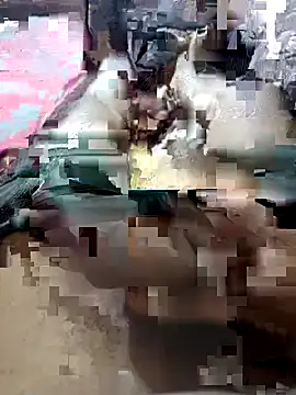 Snapshot of UnbowedAgronomy chatting on 02-14-26, 10:50 UnbowedAgronomy online show from 02-14-26, 10:50