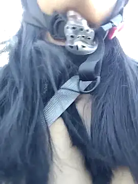 Snapshot of MILA__06 chatting on 11-26-25, 12:06 MILA 06 online show from 11-26-25, 12:06