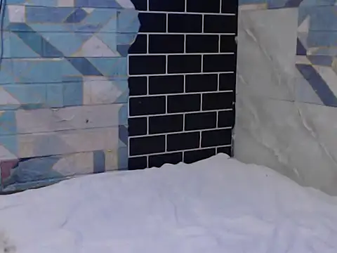 Snapshot of Newt4U chatting on 11-11-25, 10:04 Newt4U online show from 11-11-25, 10:04