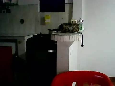 XavierFox1 online show from 11-18-25, 03:45