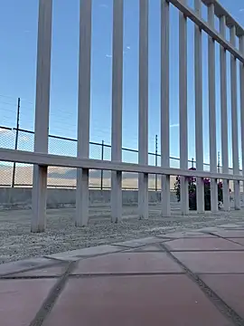 liahouses online show from 09-28-25, 09:53