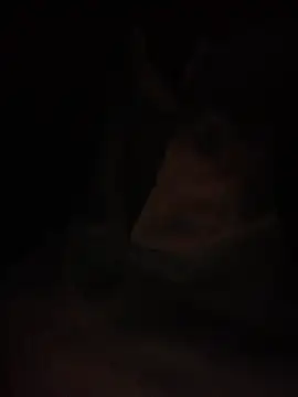 Snapshot of Halyy_xx chatting on 03-04-26, 01:28 Halyy xx online show from 03-04-26, 01:28