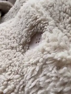 Snapshot of RonnieKiss chatting on 10-24-25, 03:25 RonnieKiss online show from 10-24-25, 03:25