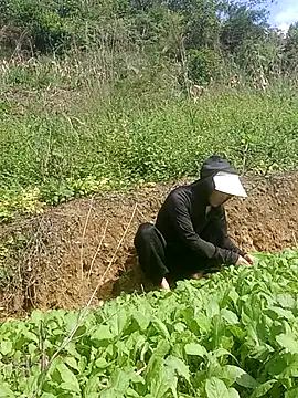 Norah-h online show from 10-30-25, 02:24