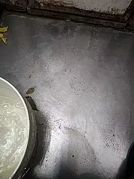 telugumodda4396 online show from 11-12-25, 01:50