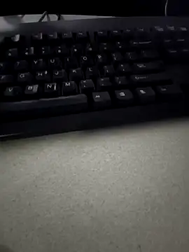 Snapshot of Punjabi27 chatting on 09-29-25, 08:57 Punjabi27 online show from 09-29-25, 08:57