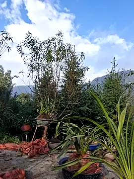 helenzz online show from 12-22-25, 01:57