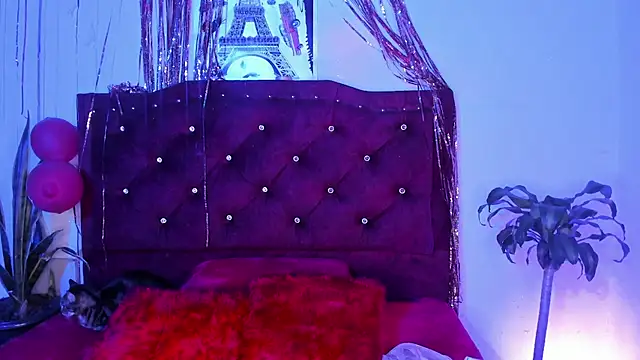 kitty  chs online show from 03-01-26, 04:36