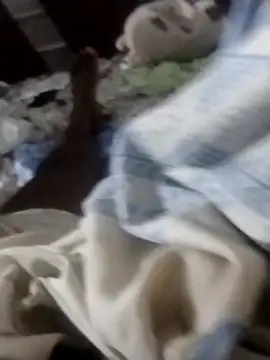 Dchocolatina online show from 12-19-25, 11:39