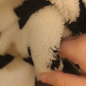 Snapshot of Geilerboy262 chatting on 11-15-25, 10:15 Geilerboy262 online show from 11-15-25, 10:15