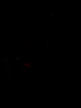 Snapshot of dinaaaaaaaa123 chatting on 10-10-25, 05:50 dinaaaaaaaa123 online show from 10-10-25, 05:50