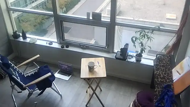 tia   fox online show from 10-29-25, 08:21