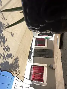 feetbooy online show from 11-04-25, 08:19