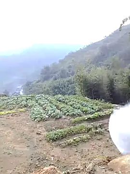 Snapshot of Bum_538 chatting on 11-23-25, 12:21 Bum 538 online show from 11-23-25, 12:21