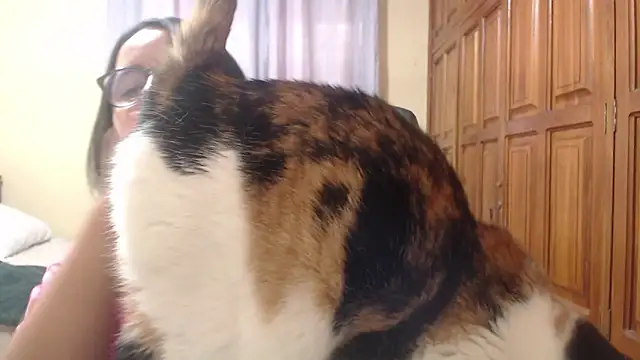 Venus cat  online show from 02-08-26, 09:18