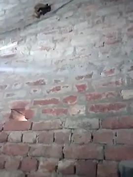 Rani 089 online show from 10-06-25, 01:58