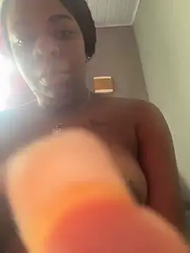 Priihmedeiros online show from 11-19-25, 10:59