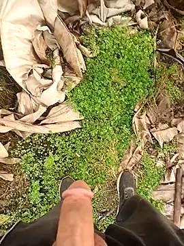 Sikici0734 online show from 01-12-26, 08:30