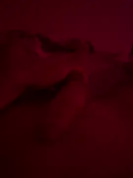 nieonixpeek19 online show from 02-02-26, 09:13