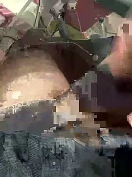 sertsikici20cm   online show from 03-01-26, 09:50