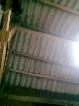 Ducky27021991 online show from 10-18-25, 12:17