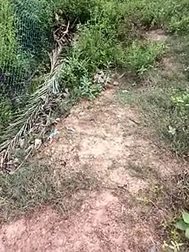 MalickKai online show from 10-14-25, 10:49