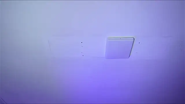 Bayonetta doll online show from 02-14-26, 12:46