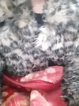 Snapshot of Mahi677 chatting on 01-08-26, 06:43 Mahi677 online show from 01-08-26, 06:43