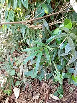 jerry-xx online show from 10-29-25, 12:57