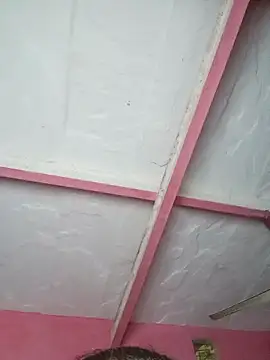 Ut kanchna online show from 11-15-25, 02:35