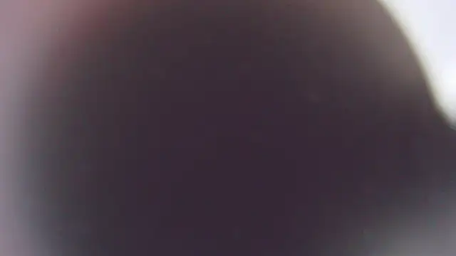 Stefano Calle online show from 12-03-25, 11:41