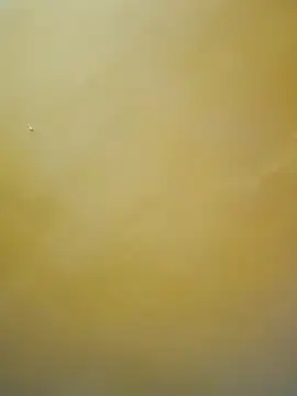 tamil-mala23 online show from 10-18-25, 11:44