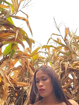 hi-hi-zz online show from 12-18-25, 01:55