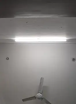 Anchal-8798 online show from 11-08-25, 06:07