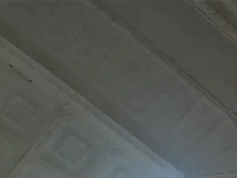 EsotericPaloma online show from 10-24-25, 07:10