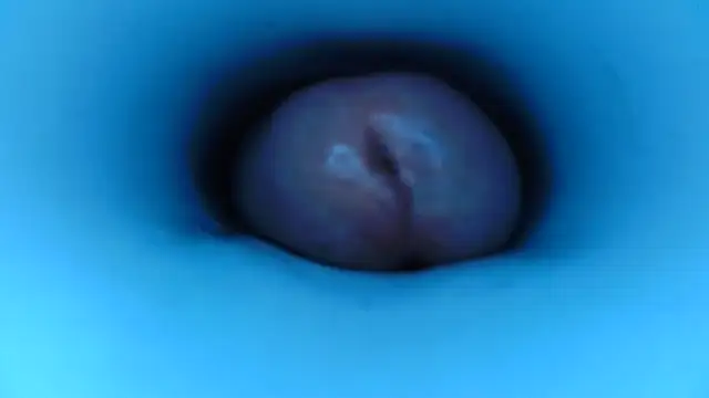 pedrolatino20cm online show from 12-15-25, 02:21