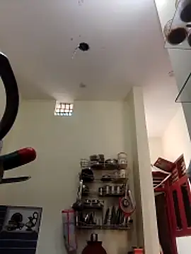 Honey-26 online show from 11-29-25, 05:54