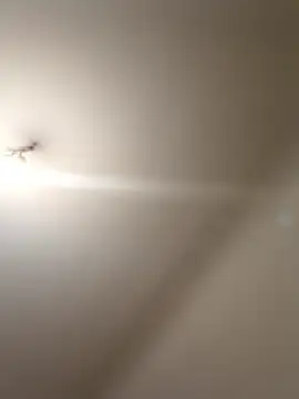 Snapshot of labellerose chatting on 01-09-26, 05:59 labellerose online show from 01-09-26, 05:59