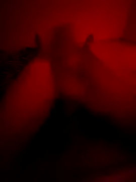 Snapshot of Ktkotabob chatting on 10-21-25, 10:21 Ktkotabob online show from 10-21-25, 10:21