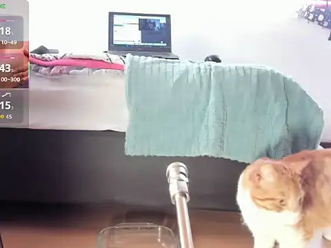   Aragon   online show from 11-04-25, 02:38