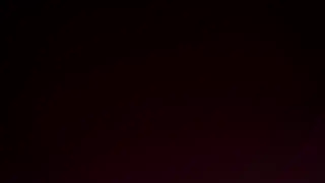 MonetLeitman online show from 04-08-26, 02:33