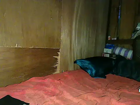 wildcat30 online show from 11-01-25, 10:23