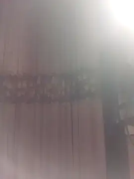 YiyinLy online show from 03-29-26, 09:15