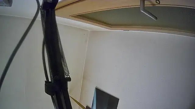 bull419M online show from 10-17-25, 09:45