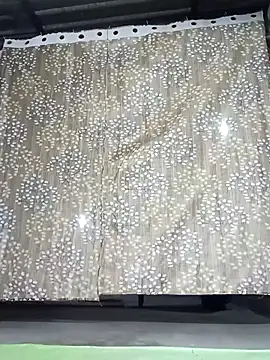 Rajni chauhan online show from 11-30-25, 03:49