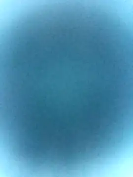 tabby-cat11 online show from 02-19-26, 02:46